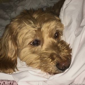 Meet your Posher, Parker